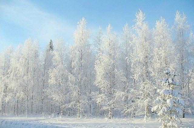 winter in finland