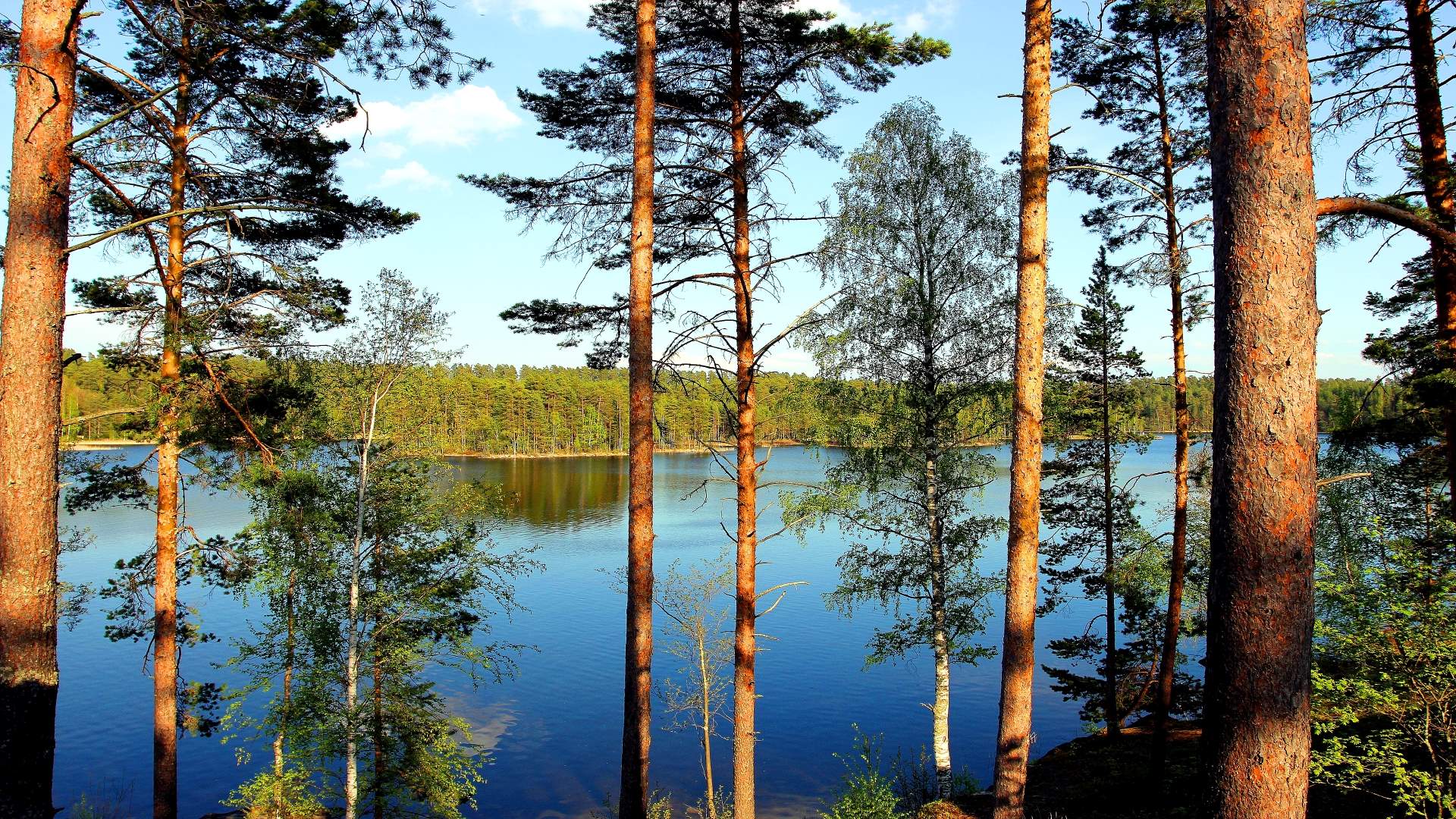 lake saimaa lake saimaa
