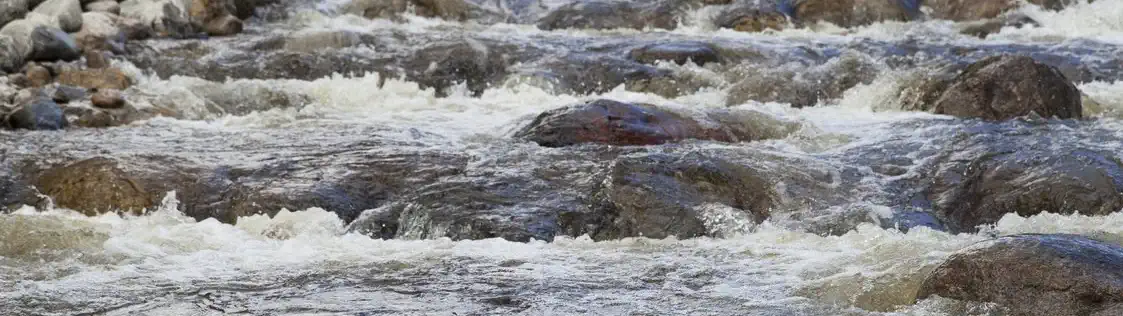 Kehittämissäätiö