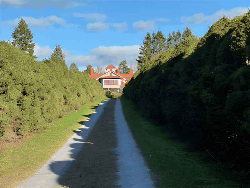 Monninsaari Manor