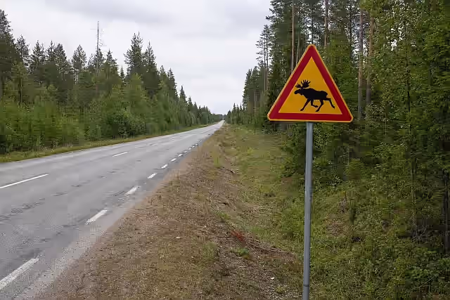 driving in finland
