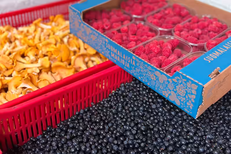 fresh berries and mushrooms savonranta