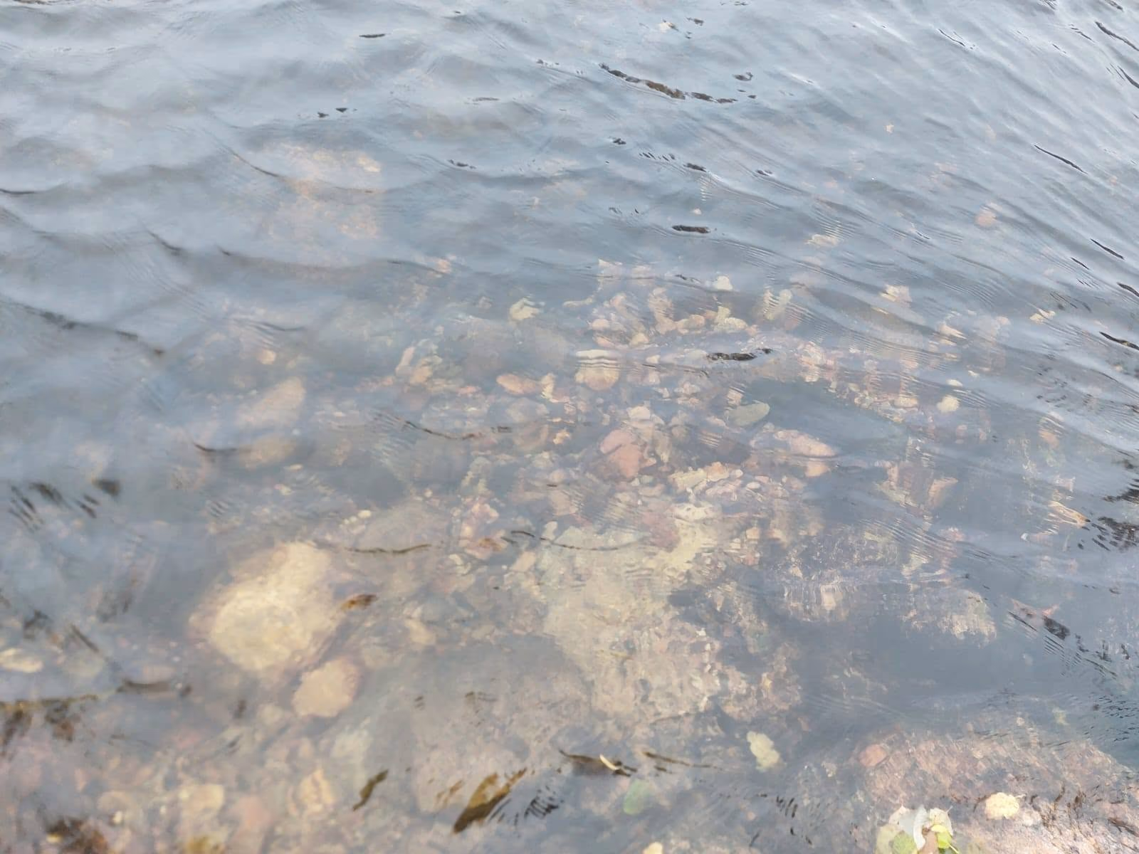 The Vuokalakoski rapids