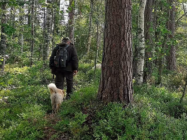 walking-savonranta