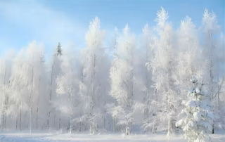 autumn-in-finland